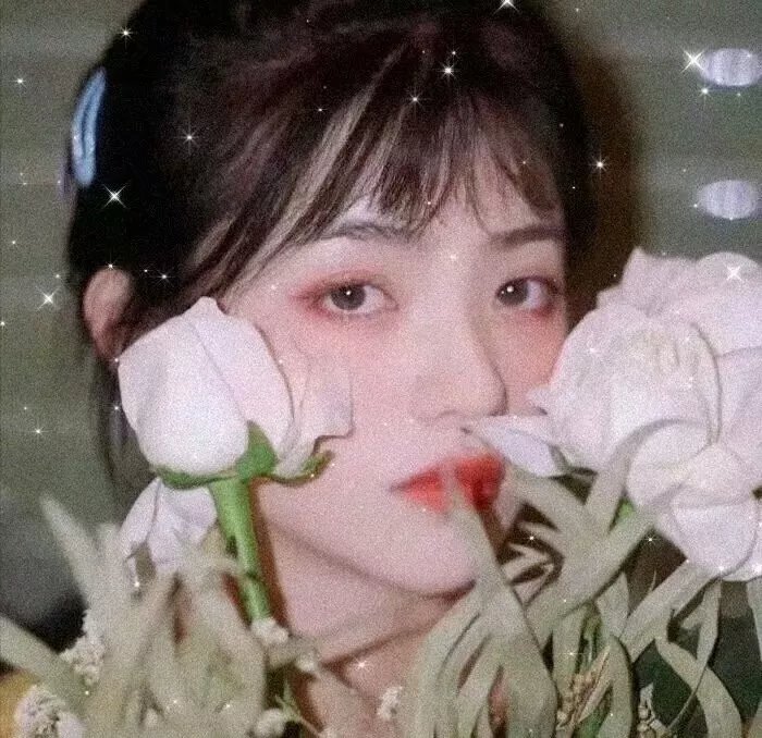 我的姐姐