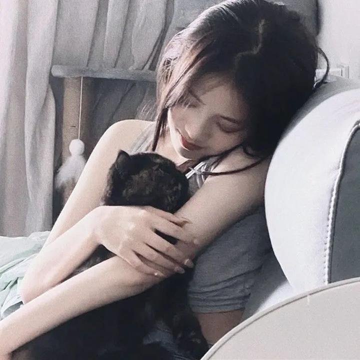 屋顶上的轻骑兵